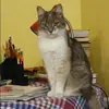 Отзыв от Валентина Царева